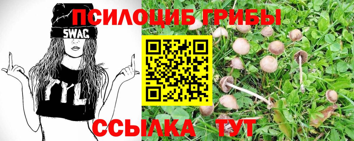 Лангепас  хочу   Вход с VPN  Псилоцибиновые грибы ЛСД 